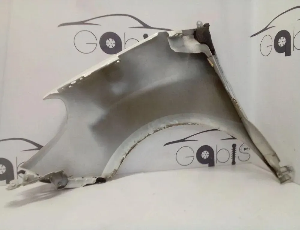 FIAT Doblo 2 generation (2009-2024) Oikea etulokasuoja 32198045