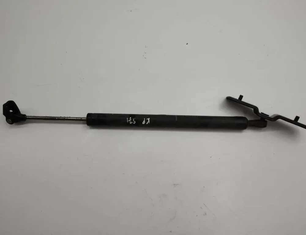 BMW 7 Series F01/F02 (2008-2015) Vasemman etuoven rajoitin 7177615 31206446