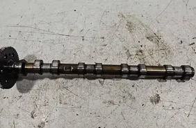 BMW X3 E83 (2003-2010) Pakokaasun nokka-akseli 7790596,050360566 34698059