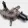 CITROËN Xsara Picasso 1 generation (1999-2010) Pyyhkijän moottori 53630337,53042436 31071288