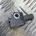 MERCEDES-BENZ C-Class W204/S204/C204 (2004-2015) Takana vasen törmäysanturi A2048201985 31824304