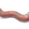 MERCEDES-BENZ C-Class W204/S204/C204 (2004-2015) Välijäähdyttimen letku A2125280882 33099197